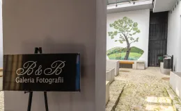 na zdjęciu wnętrze galerii z fotografiami na ścianach