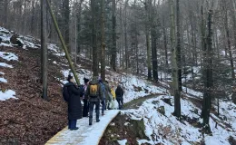 Group of people walking along a forest path – crossing winter terrain.