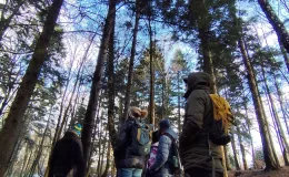 Group of people observing the forest – standing among trees and watching nature while listening to surrounding sounds.