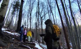 Participants walking up a forest slope – moving along a path between trees while listening to explanations about the role of roots.