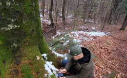 Local artist, wearing headphones, crouching beside a tree trunk and recording sounds from the tree with specialist equipment.