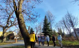 Group during a stop beneath a leaning tree – listening to the gardener explaining the role of trees in the urban ecosystem.