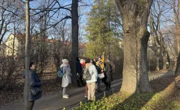 Participants during a walk with the municipal gardener, standing beside a large tree – listening to explanations and looking at the place being indicated.