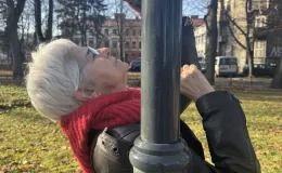 Person leaning against a post, taking a photograph of a tree canopy.