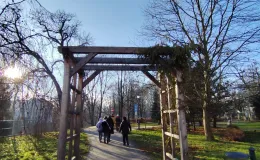 Participants walking under a pergola – moving along an avenue among trees in the city park.