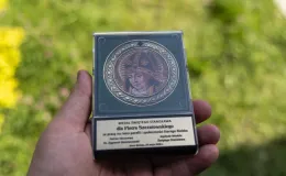 na zdjęciu osoby na pikniku