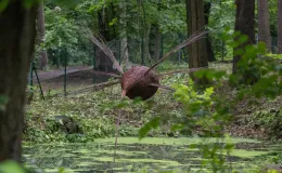 na zdjęciu osoby podczas pikniku