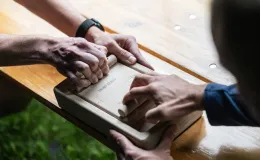 na zdjęciu osoby podczas pikniku