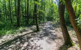 na zdjęciu park