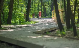 na zdjęciu park