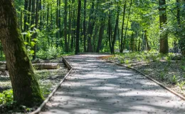na zdjęciu park