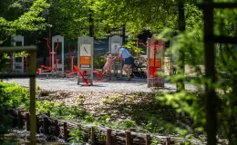 na zdjęciu park
