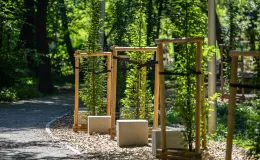 na zdjęciu park