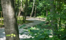 na zdjęciu park