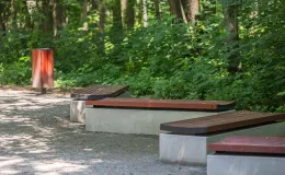 na zdjęciu park