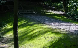 na zdjęciu park