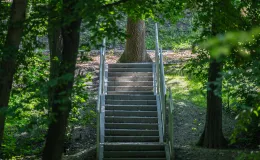 na zdjęciu park