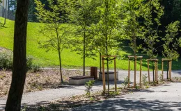 na zdjęciu park