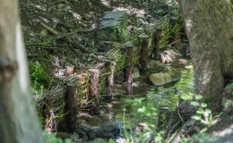 na zdjęciu park