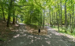 na zdjęciu park