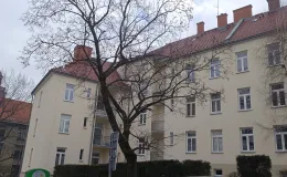 Budynek przy ul. A. Osuchowskiego 2 widok na elewację tylną po remoncie.