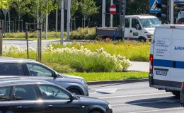 na zdjęciu ukwiecone ronda