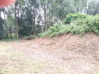 Zdjęcie działki