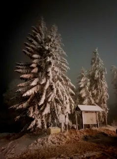 Wyróżnienie Starosty Powiatu Bielskiego Beskidy w kadrze 2025 - Jadwiga Laszczak Pewnego zimowego wieczoru