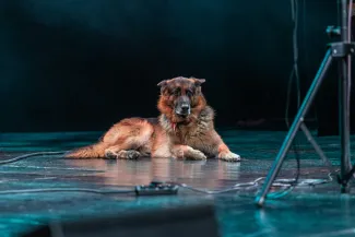na zdjęciu osoby na scenie