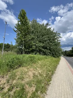 Zdjęcie nieruchomości