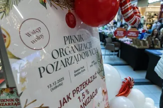 na zdjęciu osoby podczas pikniku