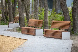 elementy parku