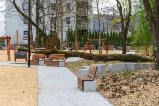 elementy parku