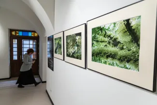 na zdjęciu wnętrze galerii z fotografiami na ścianach
