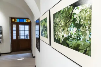 na zdjęciu wnętrze galerii z fotografiami na ścianach