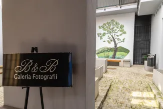 na zdjęciu wnętrze galerii z fotografiami na ścianach
