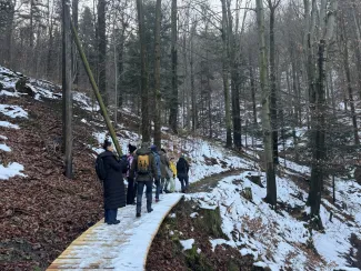 Group of people walking along a forest path – crossing winter terrain.