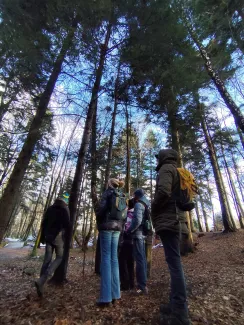 Group of people observing the forest – standing among trees and watching nature while listening to surrounding sounds.