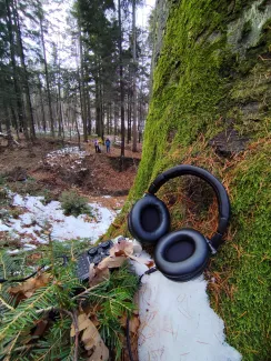 Headphones lying on moss beside a tree trunk. In the background, participants on the walk are taking notes.