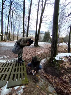 Person wearing headphones, listening to the recorded sound of a forest stream.