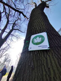 Sign marking the breathing trail (leaf symbol) attached to a tree.