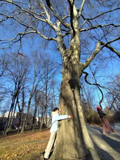 Person with closed eyes and a smile, facing the sun, embracing a large tree.