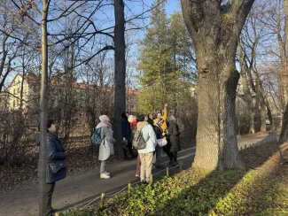 Participants during a walk with the municipal gardener, standing beside a large tree – listening to explanations and looking at the place being indicated.