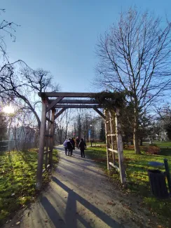 Participants walking under a pergola – moving along an avenue among trees in the city park.