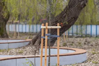 na zdjęciu nowy skwer