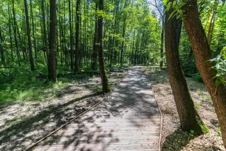na zdjęciu park