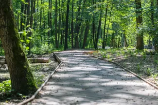 na zdjęciu park