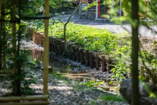 na zdjęciu park