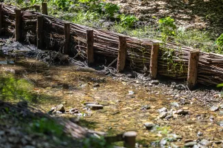 na zdjęciu park