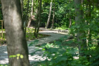 na zdjęciu park